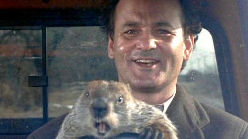 groundhog-day